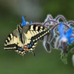 0-3 Yaşta Mantık ve Gözlem İçin Evde Aktiviteler Geliştirme