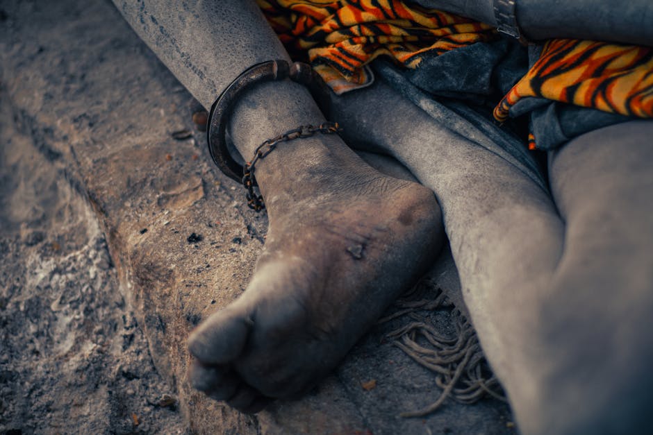 Bebek Katılım Oyunları: Baba İçin Ev İçi Aktiviteler