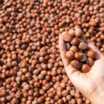 Hamilelikte Anti-İnflamatuar Beslenme: Kolay Tarifler ve Pratik Alışveriş Listesi